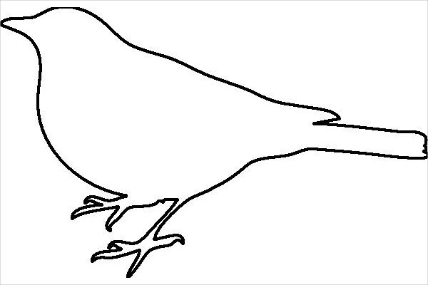 13 Printable Bird Templates Free Sample Example Format Download