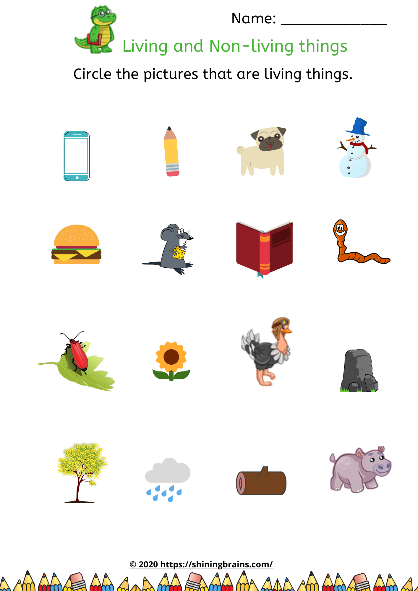 20 Living And Non Living Things Worksheet Worksheets Decoomo