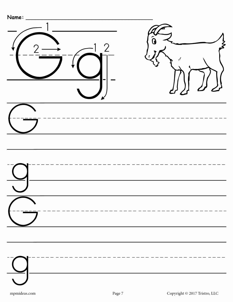 30 Letter G Worksheets