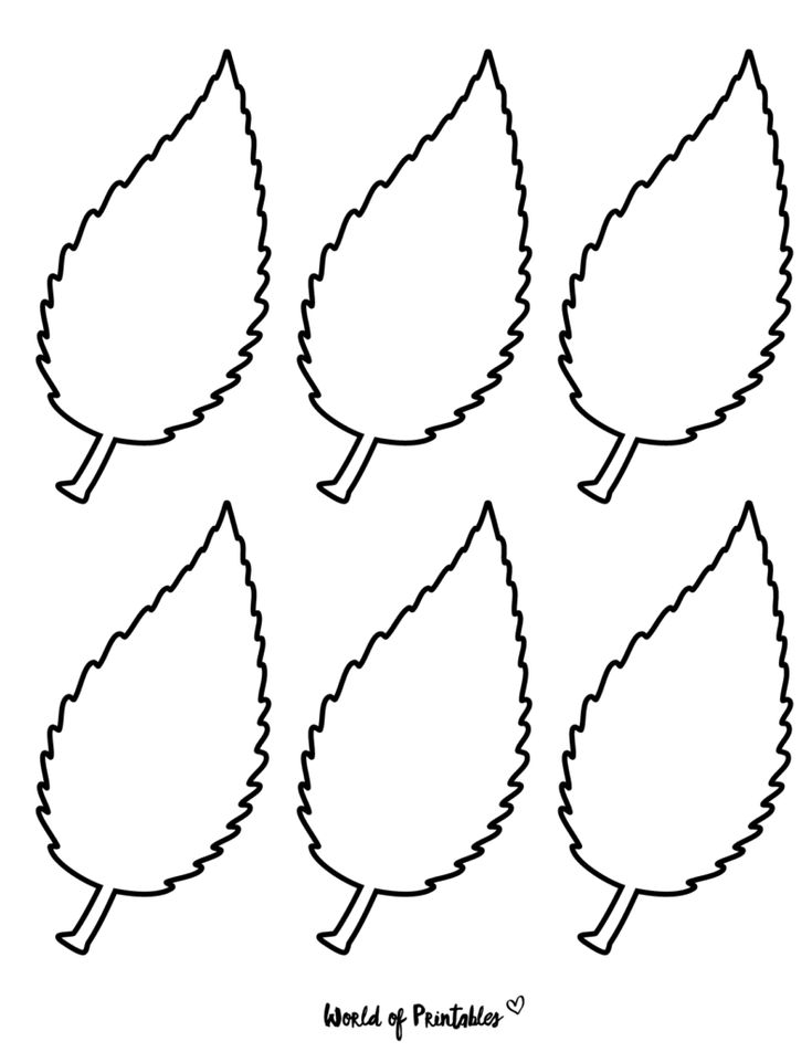 37 Printable Leaf Templates Outlines Shapes Free Leaves Template 