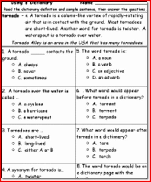 3rd Grade Reading Comprehension Worksheets