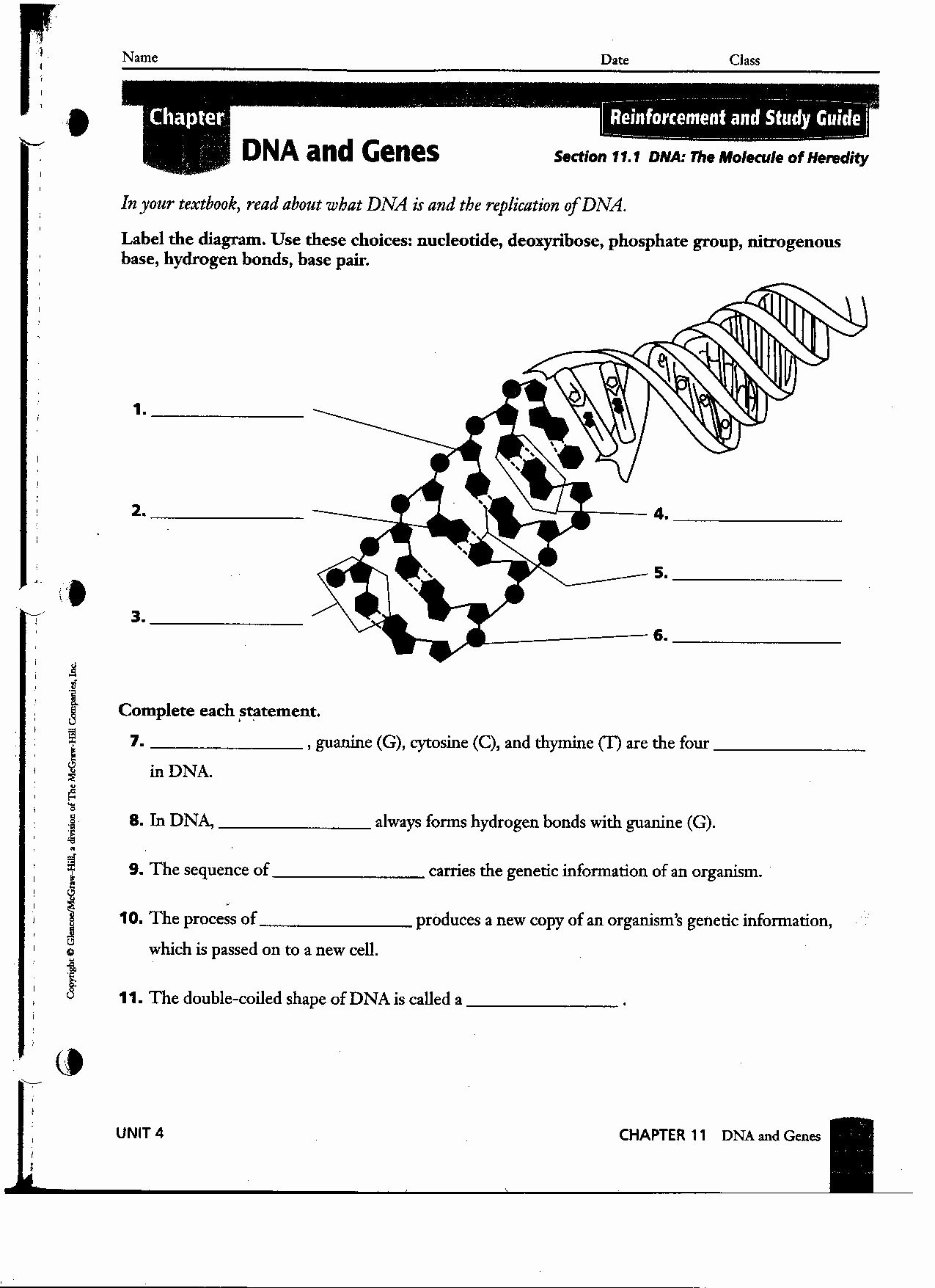 50 Dna Replication Worksheet Key Chessmuseum Template Library