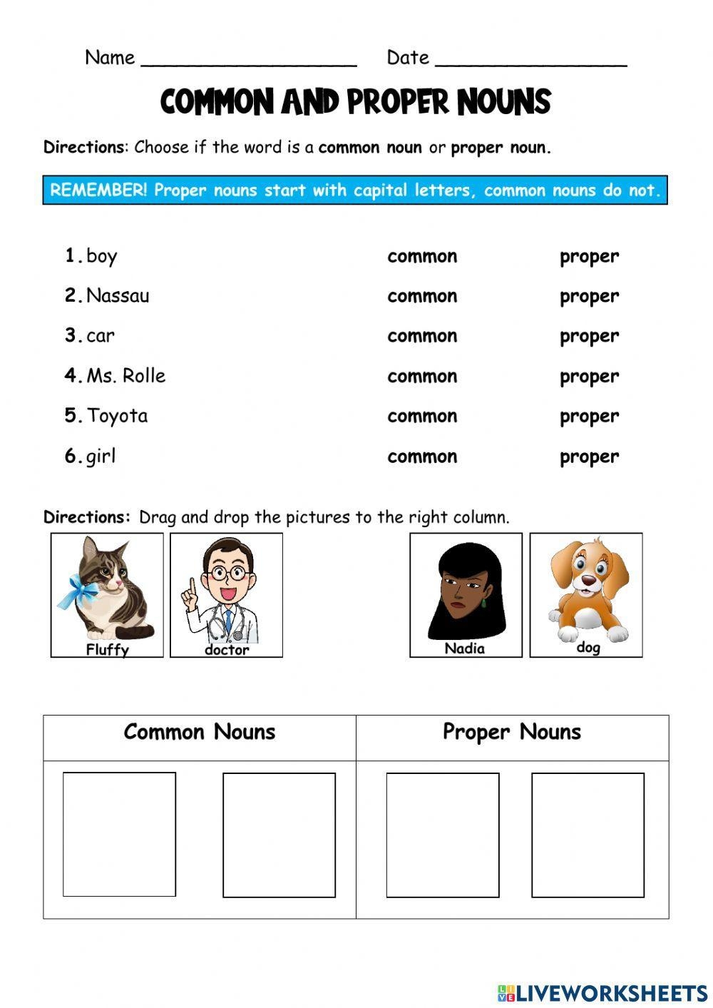 Common And Proper Nouns 1st Grade Noun Worksheet Worksheets Library