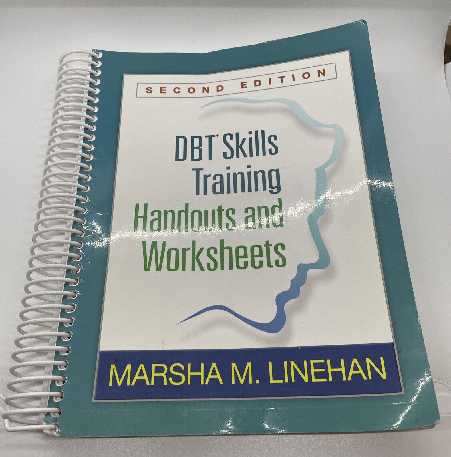 Dbt Skills Training Handouts Worksheets DBT Worksheets