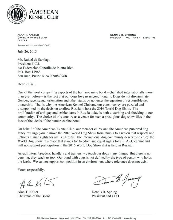 Esa Letter Template Free