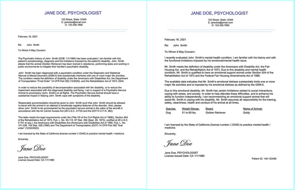Esa Letter Template Free