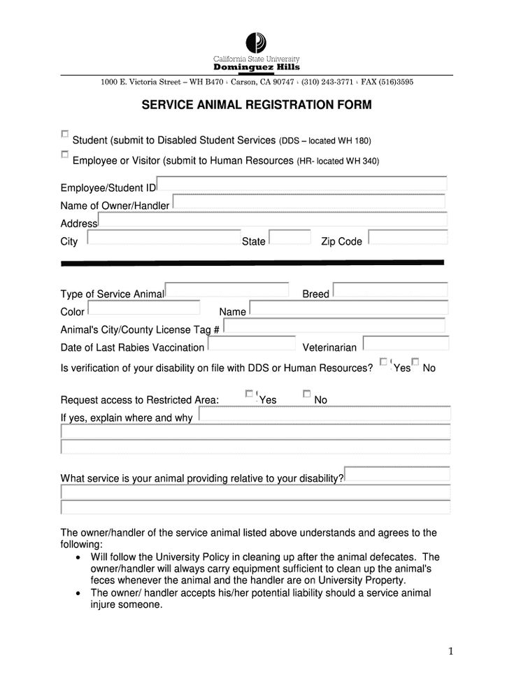 Example Emotional Support Animal Letter Template Yahoo Image Search