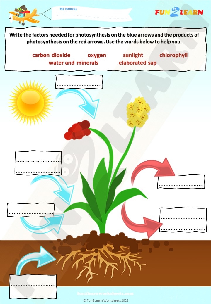 Fill In The Missing Words Free Worksheet Photosynthesis