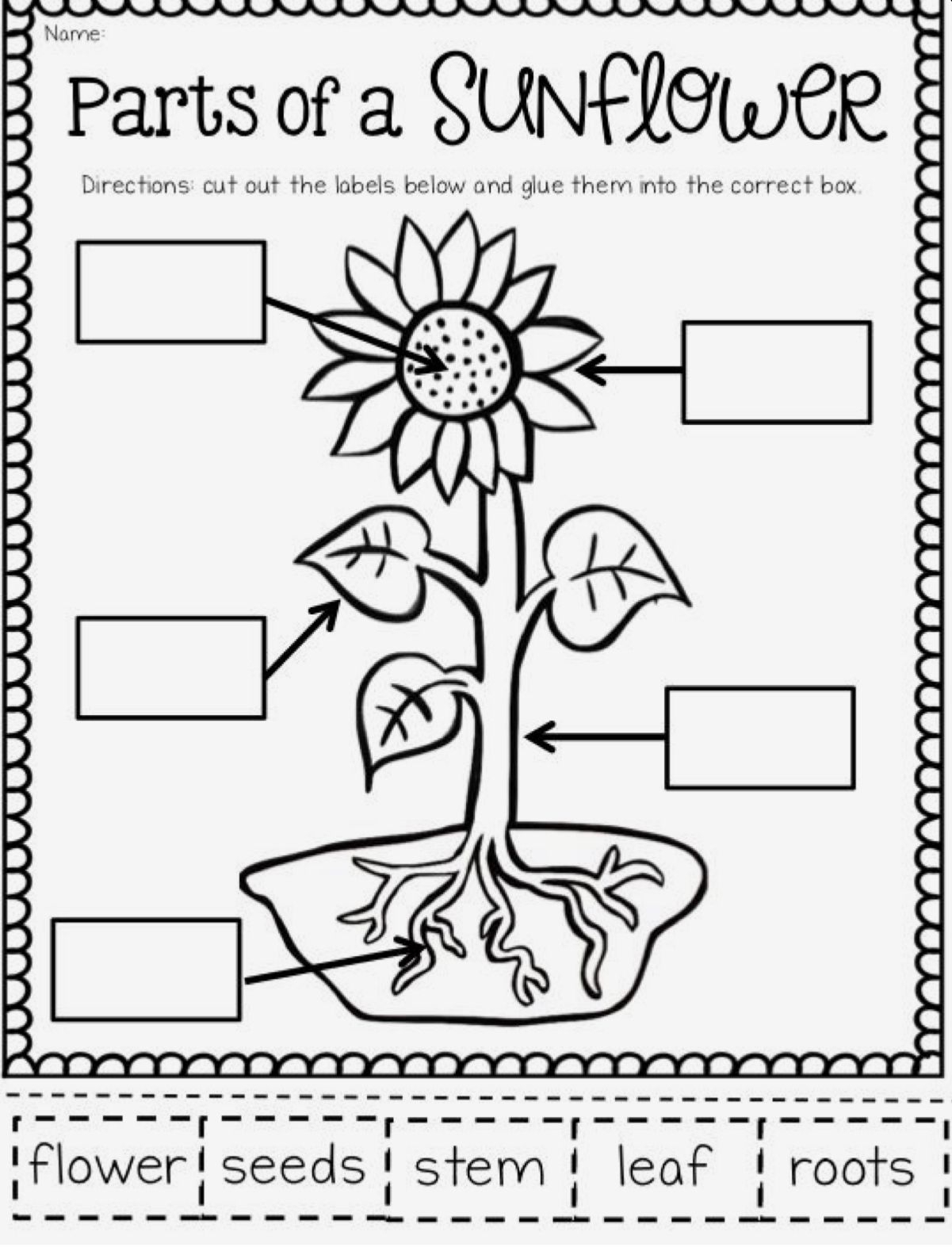 First Grade Science Coloring Worksheets Scienceworksheets