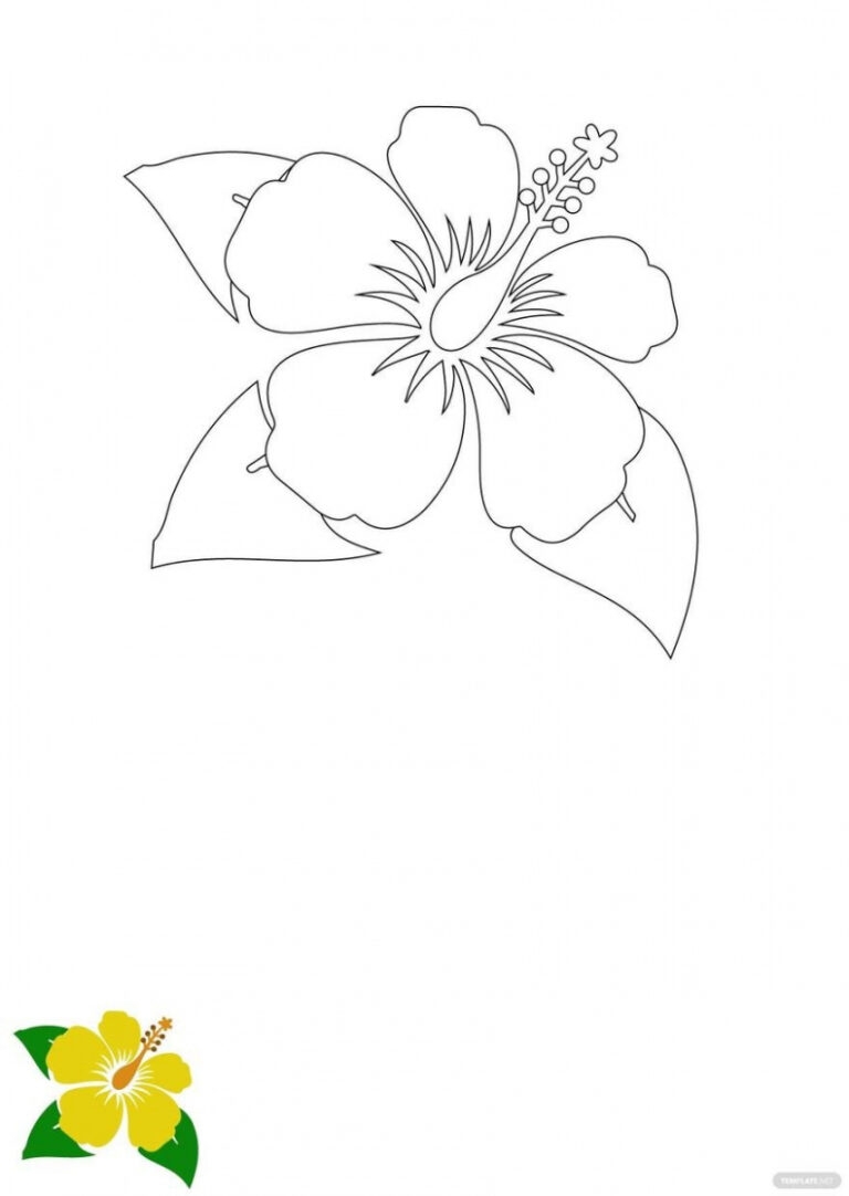 Free Printable Hibiscus Flower Template FREE Printable HQ
