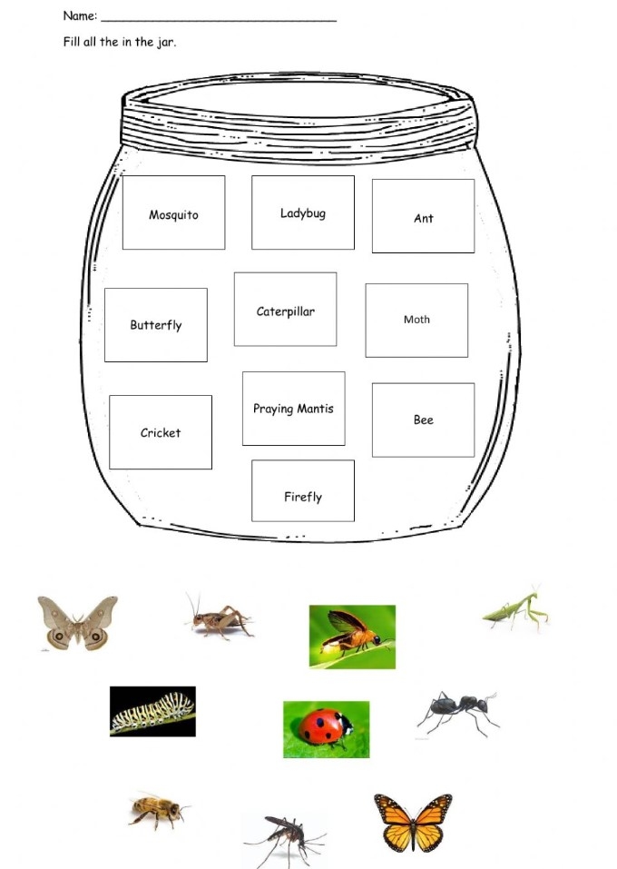Free Printable Kindergarten Science Worksheets Kindergarten Worksheets