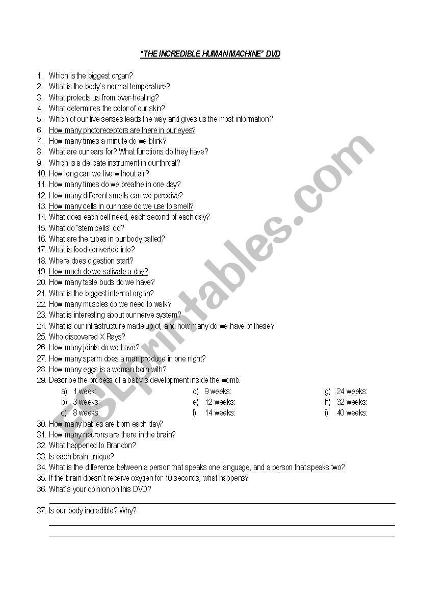 Incredible Measurements Worksheet Answers Printable Word Searches