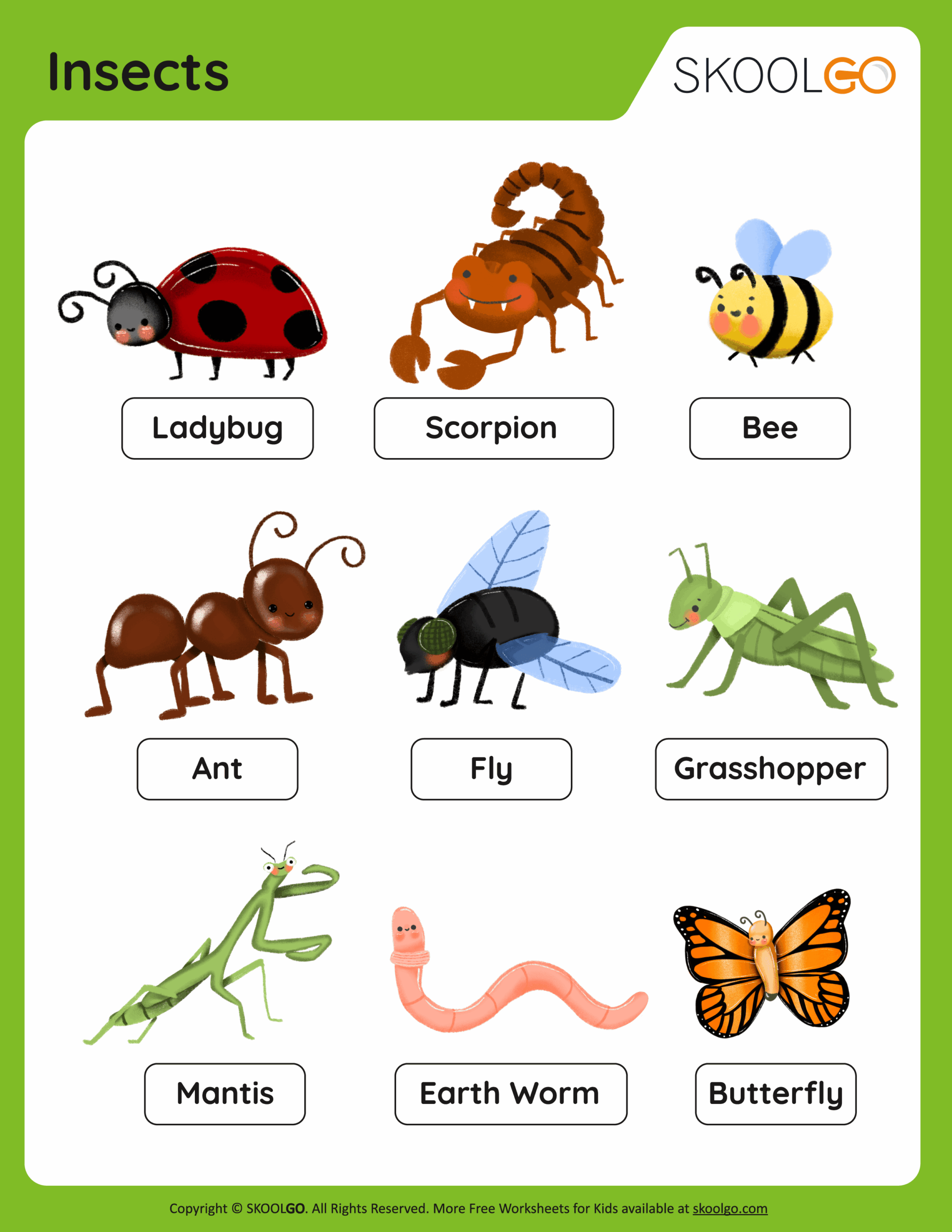 Insects Free Worksheet SKOOLGO