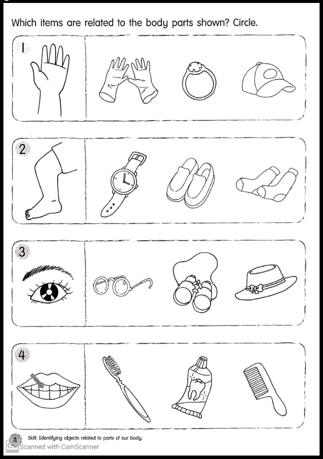 Kindergarten Science Worksheets Free Printable Kindergarten Worksheets