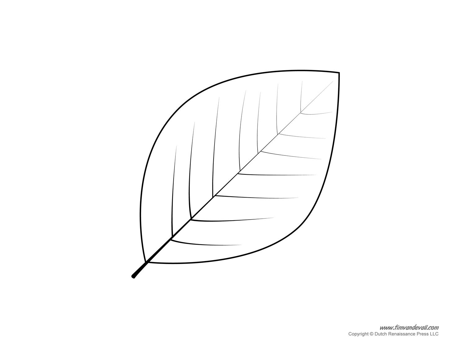 Leaf Template Printable Leaf Template Printable Leaf Printables 