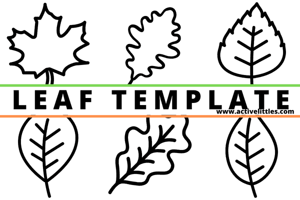 Maple Leaf Images Outline Free Printable Pdf Infoupdate