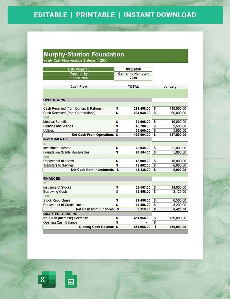 Non Profit Cash Flow Template