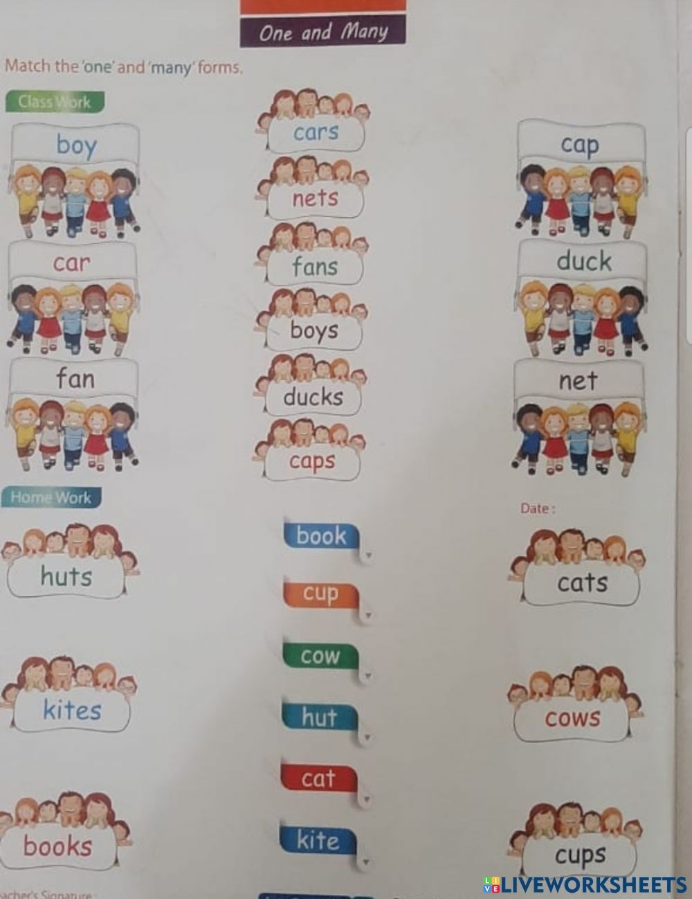 One And Many Worksheet Singular And Plural School Subjects Plurals