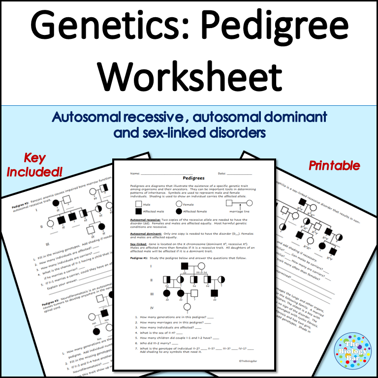 Pedigrees Worksheet For Genetics Made By Teachers Worksheets Library