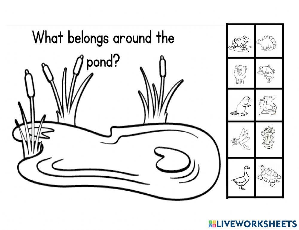 Pond Worksheets For Kindergarten And First Grade Updated For