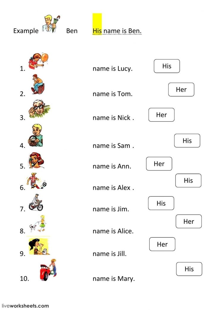 Possessive Pronoun Worksheet