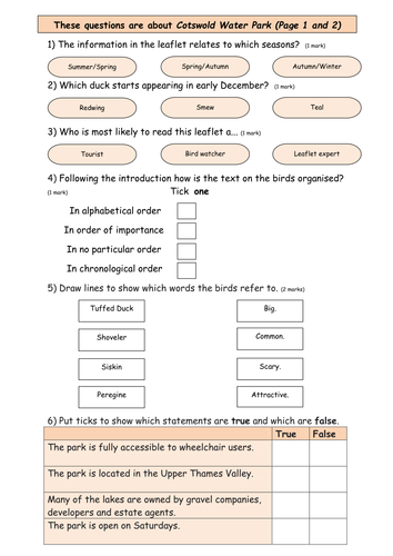 Reading Comprehension Year 6 Sats Hot Sex Picture