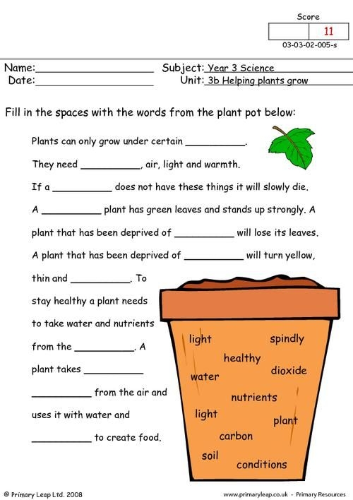 Science Worksheets For 2nd Grade Plants Scienceworksheets