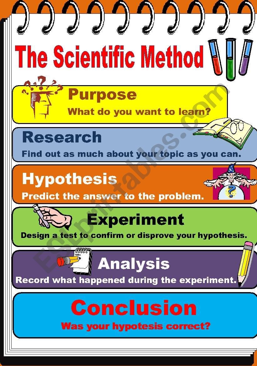 Scientific Method Steps Worksheet Zipworksheet