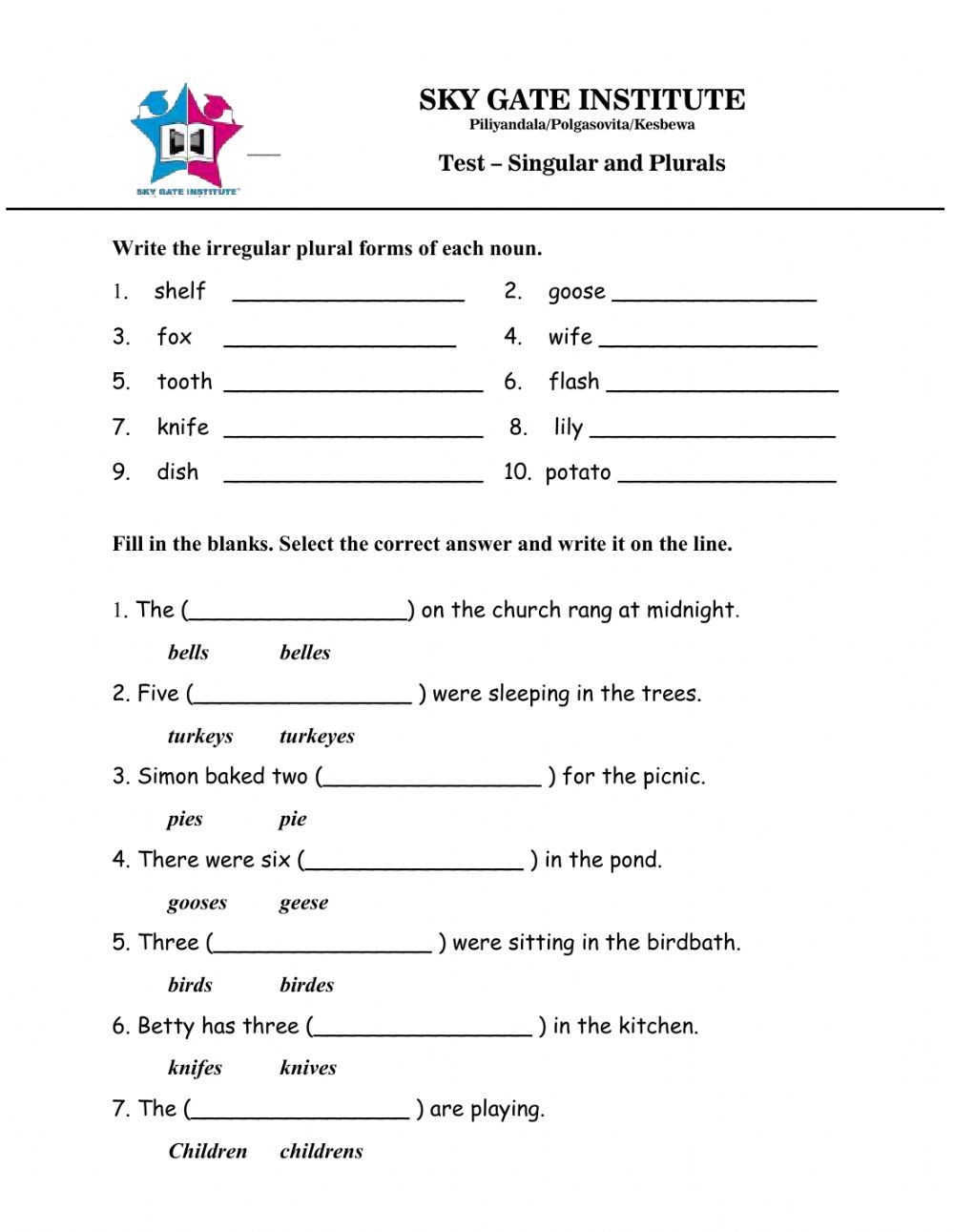 Singular And Plural Noun Worksheets 8th Grade Language Worksheets