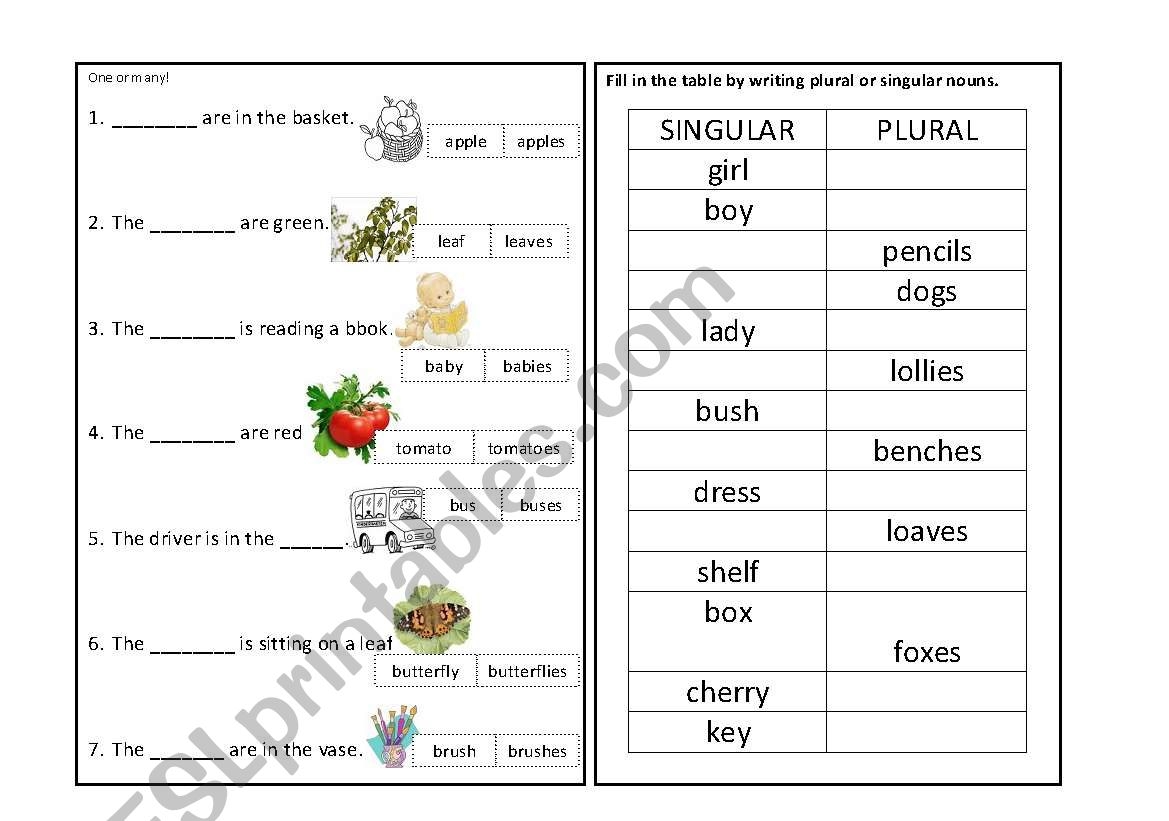 Singular And Plural Nouns Worksheet E streetlight