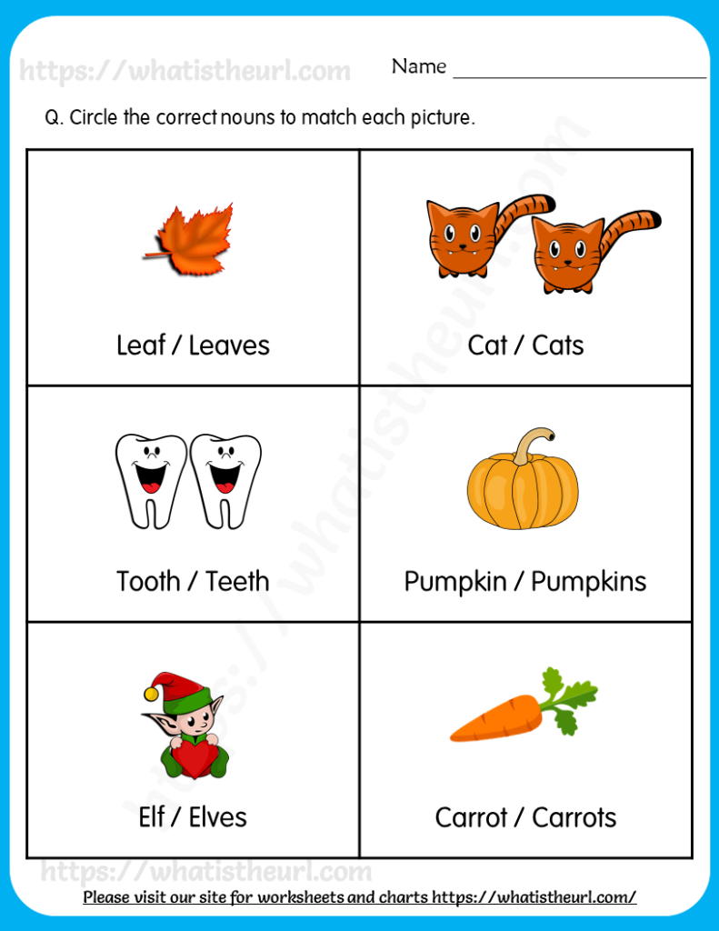 Singular Plural Nouns Worksheet For Grade 1 Your Home Teacher
