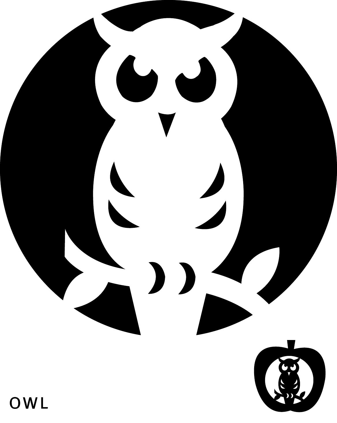 What I Am Carving In My Pumpkin Owl Pumpkin Carving Pumpkin Carving 