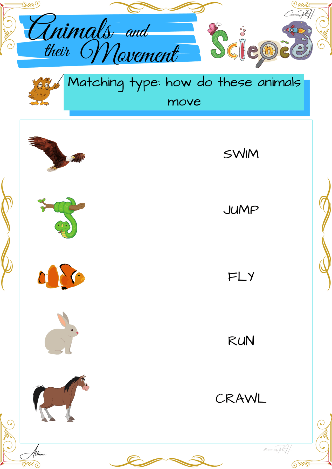 Worksheets Grade One Science Scienceworksheets