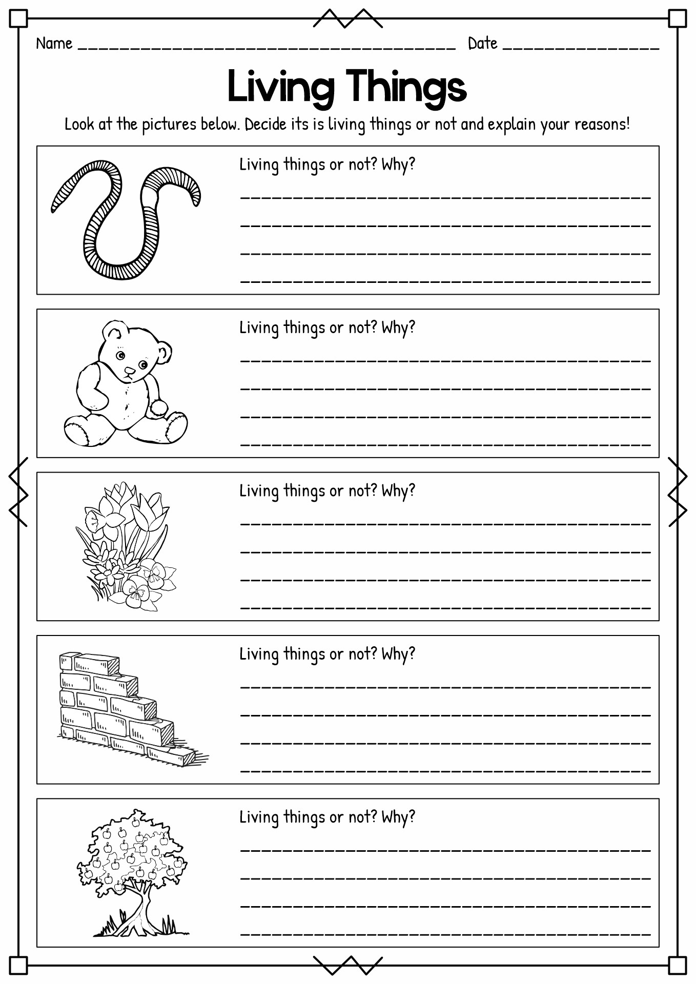 12 First Grade Science Worksheets Matter Free PDF At Worksheeto