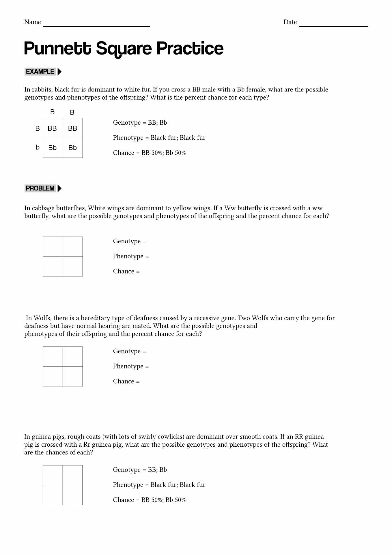15 Best Images Of Punnett Square Worksheet Answer Key Punnett Square 