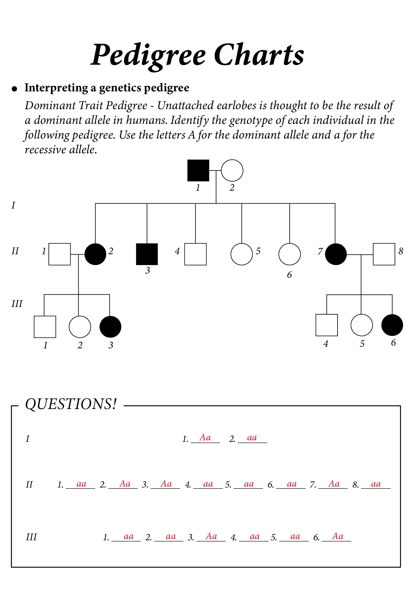 15 Pedigree Worksheet With Answer Key Free PDF At Worksheeto