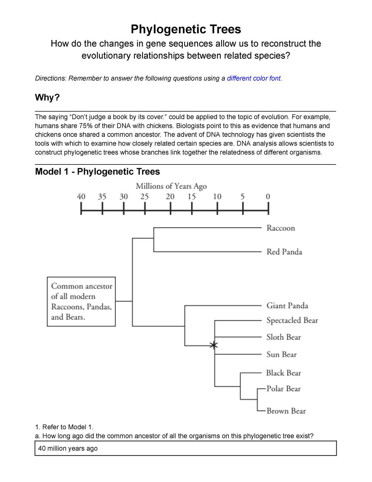 22 Pogil Phylogenetic Trees Phylogenetic Trees How Do The 