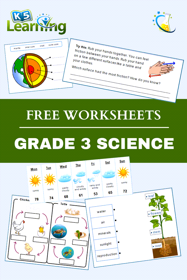 3rd Grade Free Science Worksheets Scienceworksheets