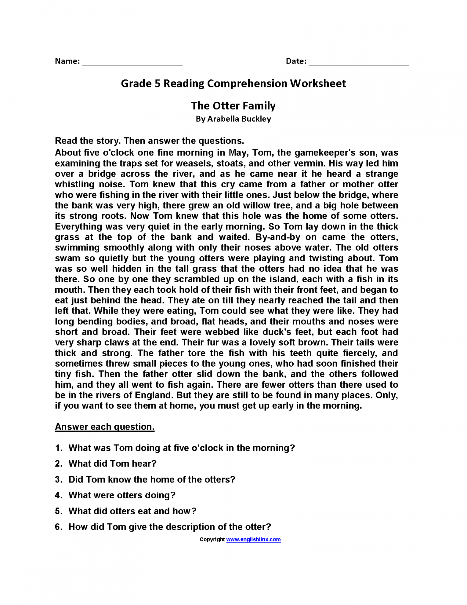 5th Grade Level Reading Comprehension Worksheet Printable PDF Template
