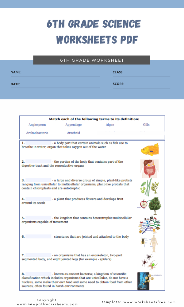6th Grade Science Common Core Worksheets Scienceworksheets