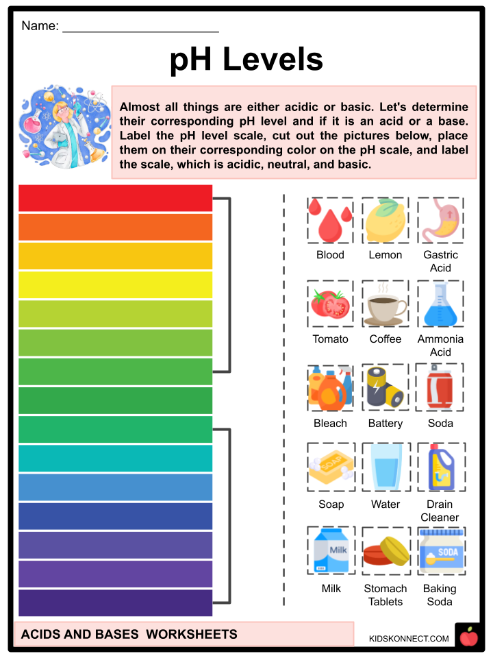 Acids Bases Student Worksheet Acids And Bases Unit PH Scale Chemistry