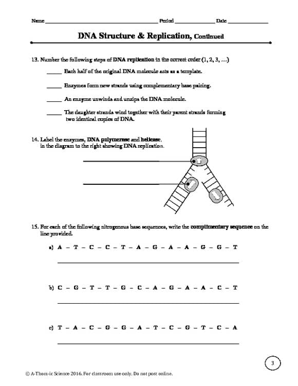 DNA Structure And Replication Worksheet By A Thom ic Science TPT