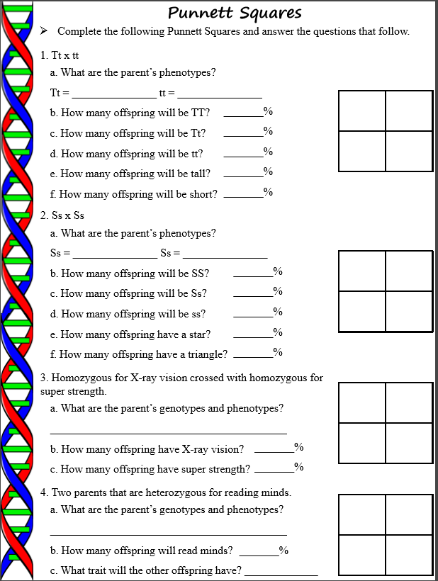 Easy Punnett Square Worksheet Middle School Archives Super Sass