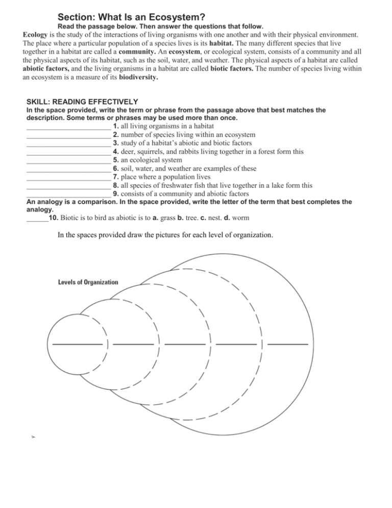 Ecosystems Worksheet Biotic Abiotic Factors Biodiversity