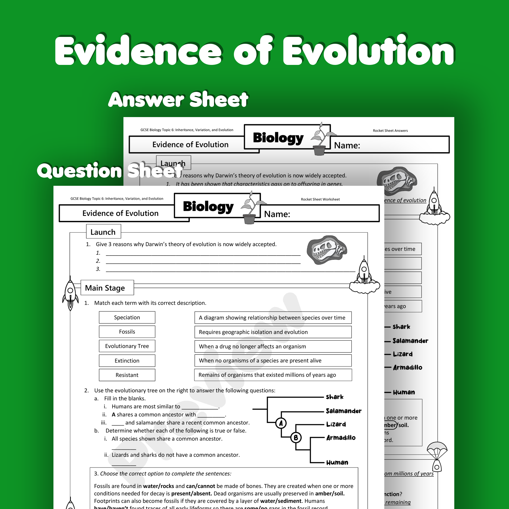 Evidence Of Evolution Home Learning Worksheet GCSE Rocketsheets co uk