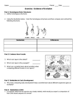 Evidence Of Evolution Worksheet By Coach B 39 s Store TpT