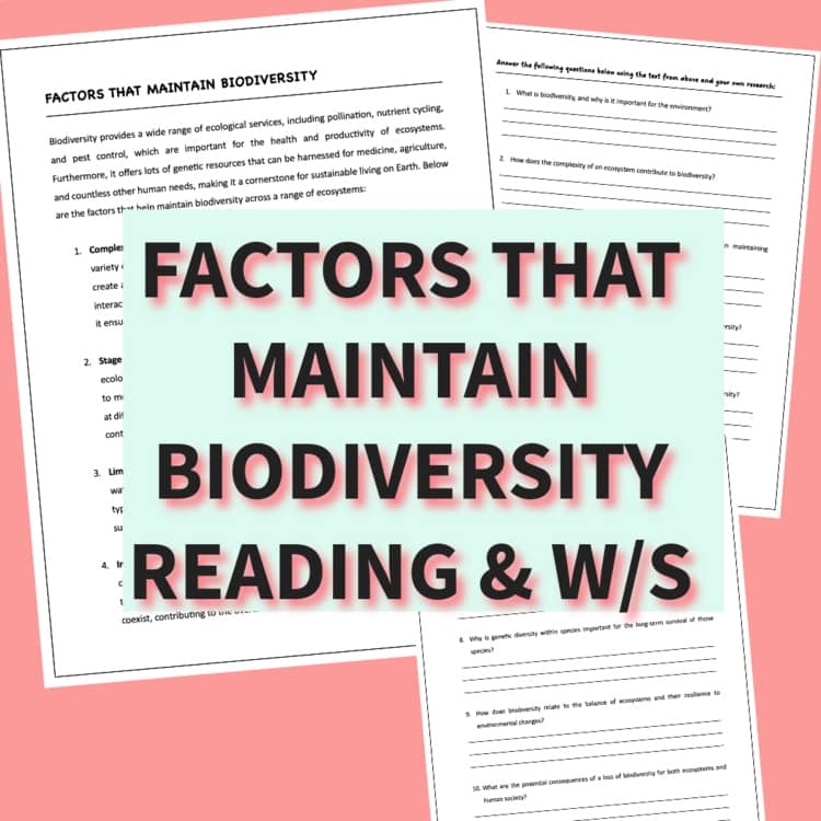 Factors That Maintain Biodiversity Reading And Printable Worksheet With