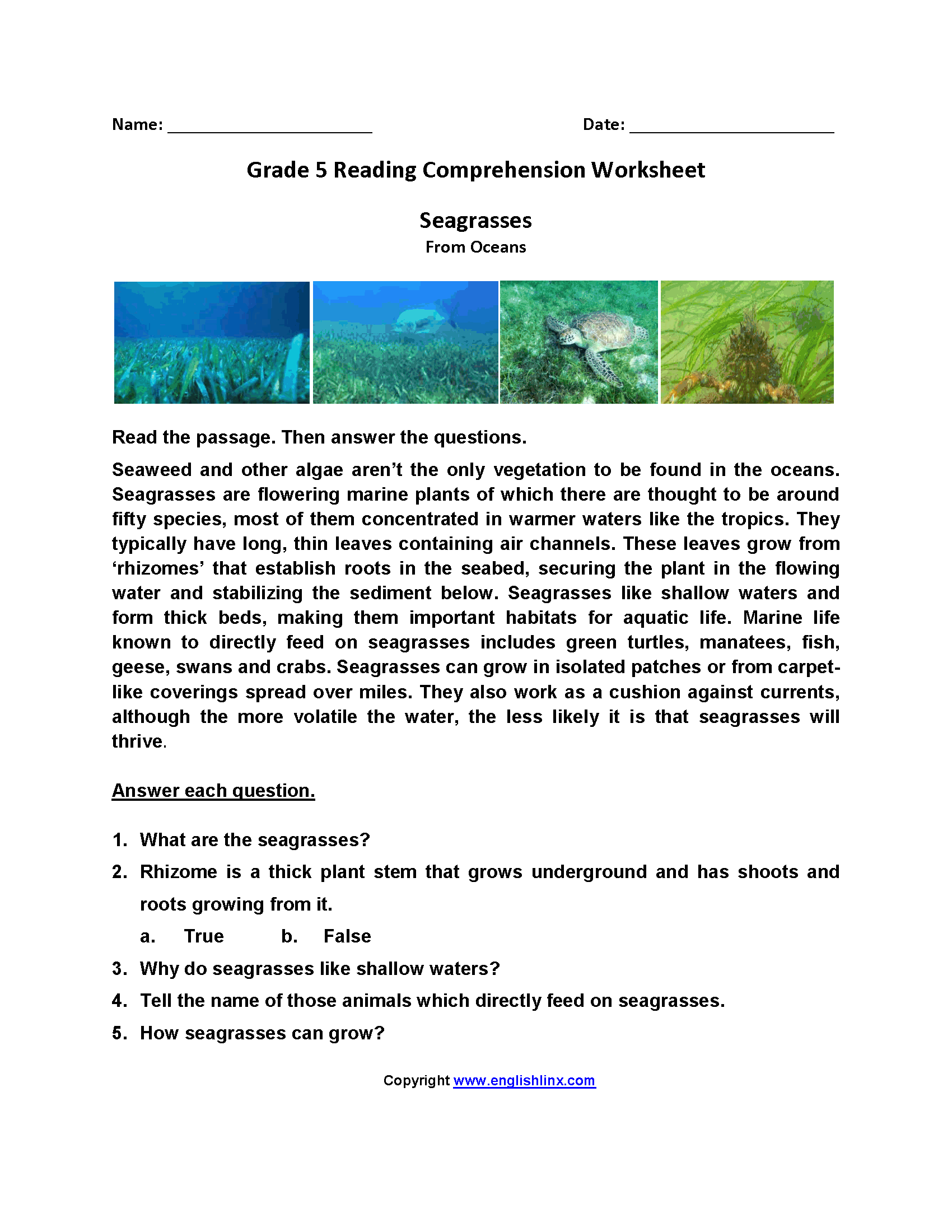 Fifth Grade Reading Worksheets Improve Fluency Vocabulary