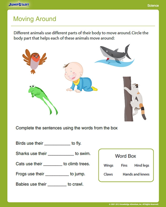 Free 1st Grade Science Worksheets Pdf Scienceworksheets
