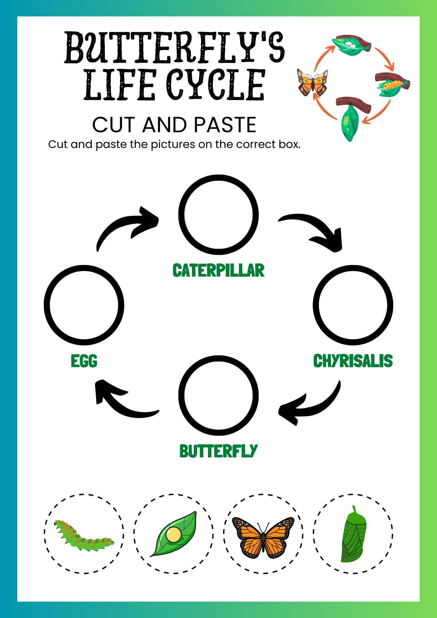 Free Butterfly Life Cycle Cut And Paste Worksheet Hands On Learning 